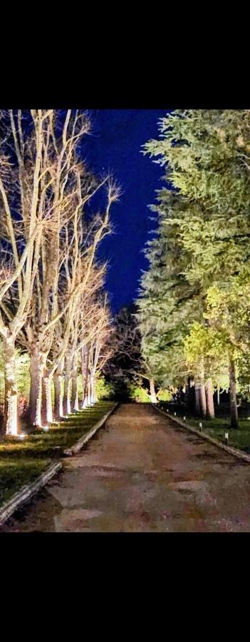 La Casa Nel Parco Luxury B&B San Lazzaro di Savena Esterno foto